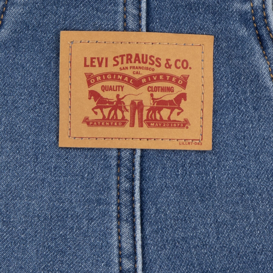 Levis - Overall - The Big Cheese No Destruction - Image 3