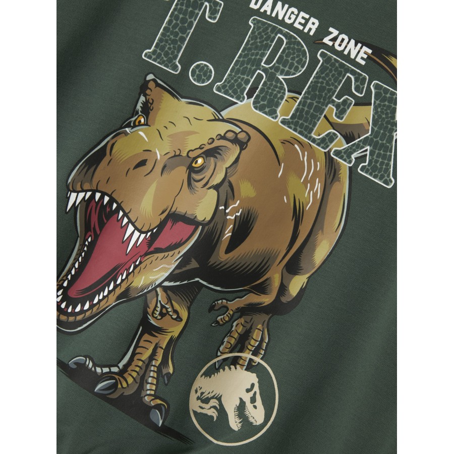 Name It - Sweatshirt - Jaba Jurassic - Garden Topiary - Image 2