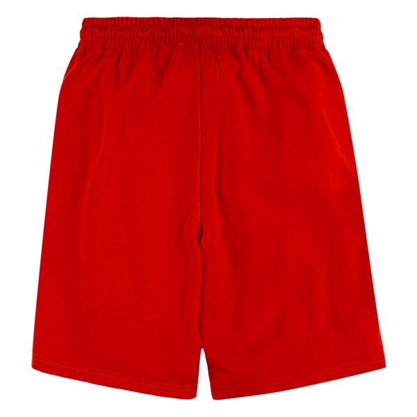 Levis - Shorts - Relaxed - Red Clay - Billede 2