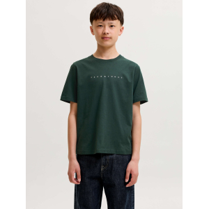 Jack & Jones - T-shirt - Star _ Scarab